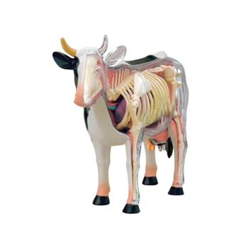 Анатомическая модель органа животного 4D интеллект коровы, игрушка для сборки, обучающая анатомическая модель, научно-популярные приборы DIY
