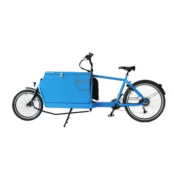 Педальный электрический 2-колесный голландский грузовой велосипед спортивного стиля, детский трехколесный велосипед для взрослых, для Европы