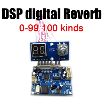 цифровой реверберационный модуль DSP с эффектом 0-100 оттенков, реверберационная плата Cara OK, микшерный модуль для усилителя мощности